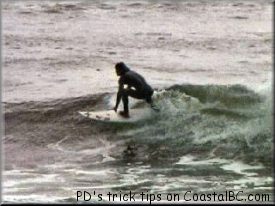 Your eyes should be focused on the section in front of you